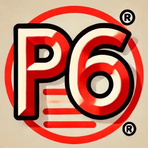 六年级P6